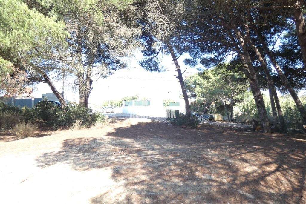 Terreno em fase de urbanização na Costa da Caparica - Grande imagem: 4/11