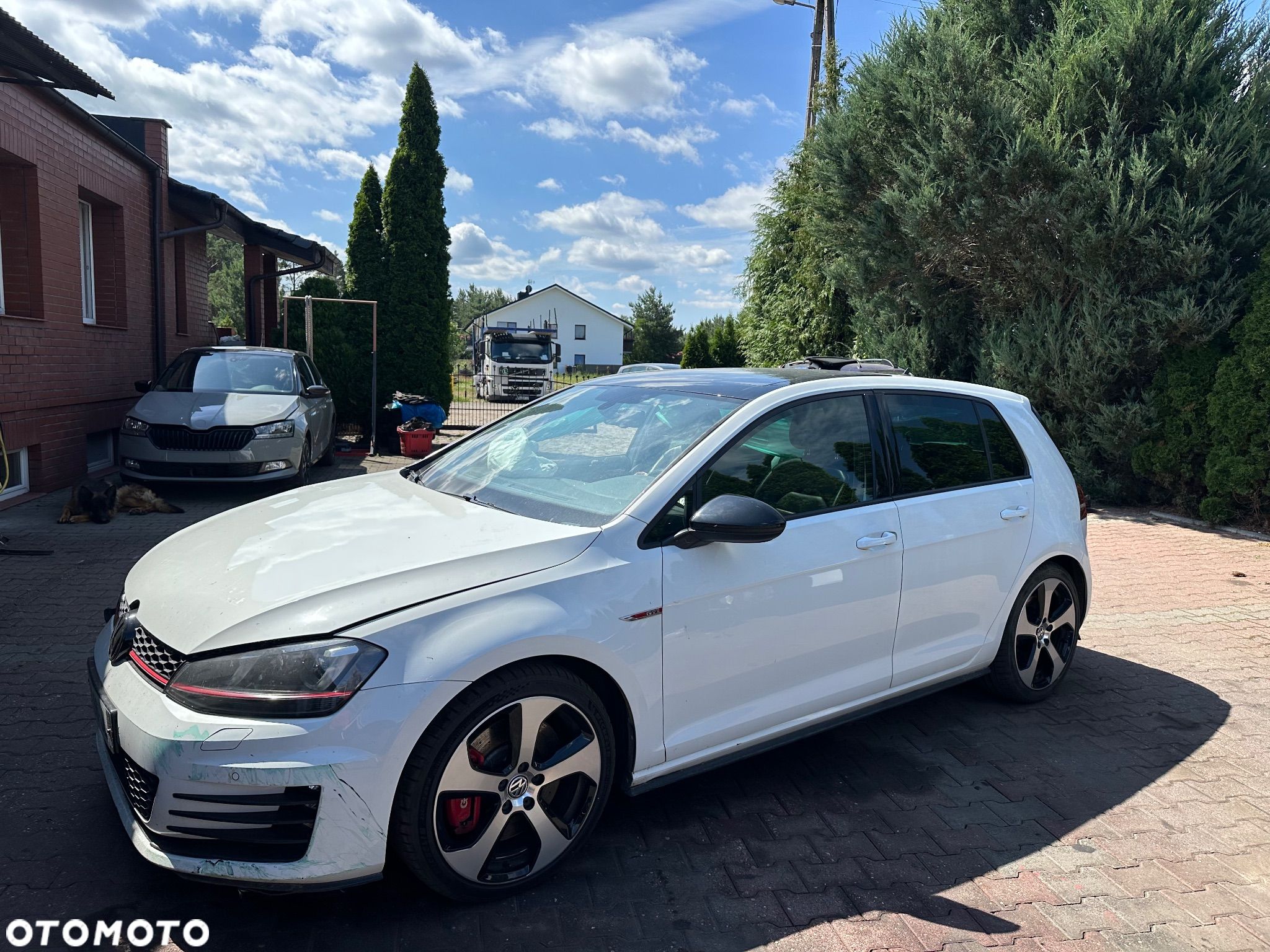 Volkswagen Golf GTI 2.0 TSI OPF DSG Performance - 1