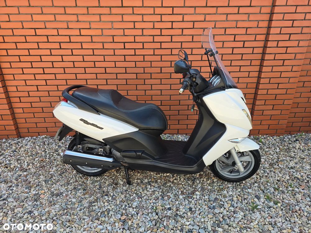 Peugeot Citystar - 3