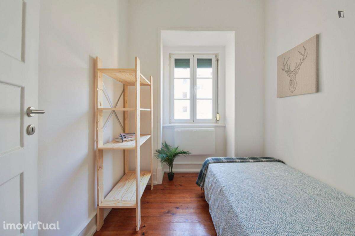 Quarto - localizado em Entrecampos Lisbon - Grande imagem: 2/13