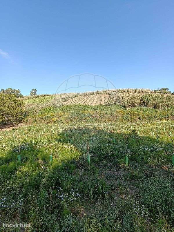 Terreno  para venda - Grande imagem: 3/10