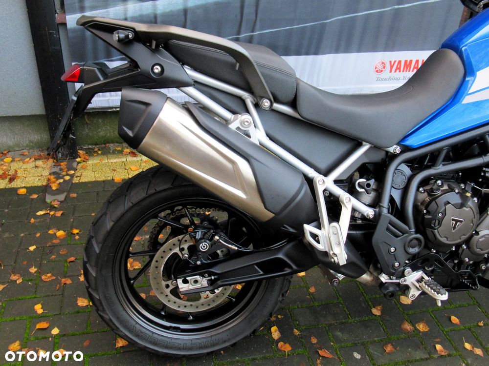Triumph Tiger - 19