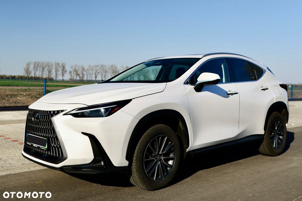 Lexus NX - 14