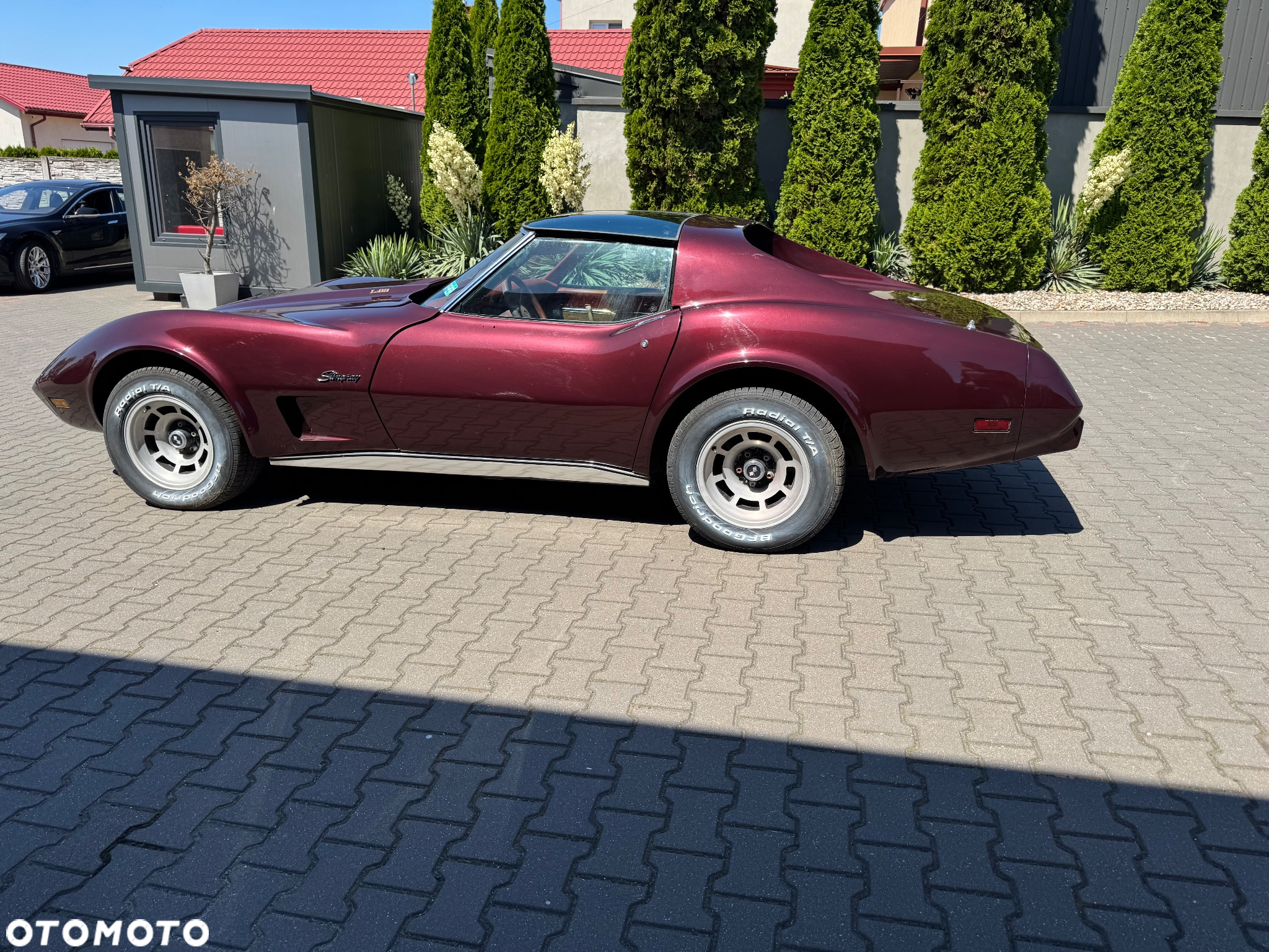 Chevrolet Corvette - 27