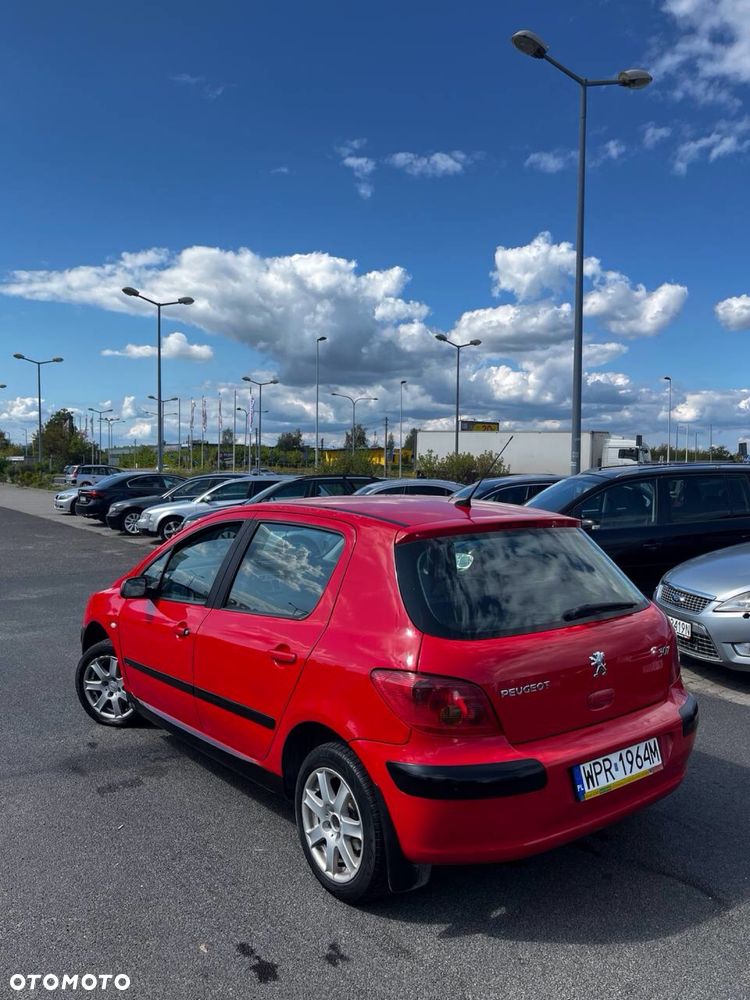 Peugeot 307 - 6