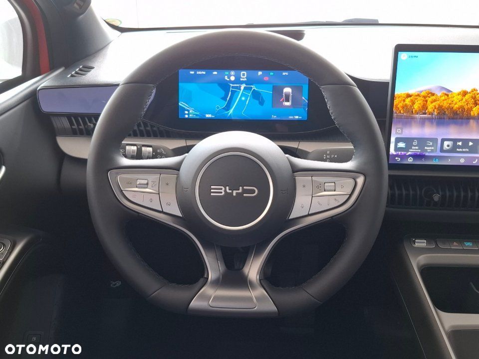 BYD Dolphin G - 19