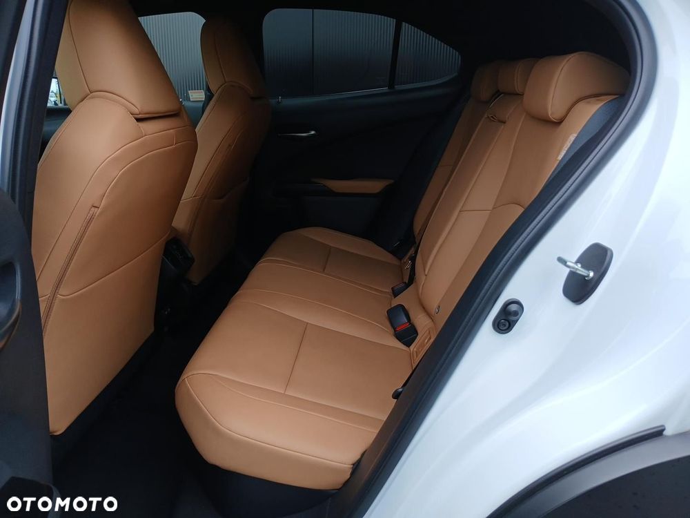 Lexus UX 250h GPF F Sport Design 2WD - 24