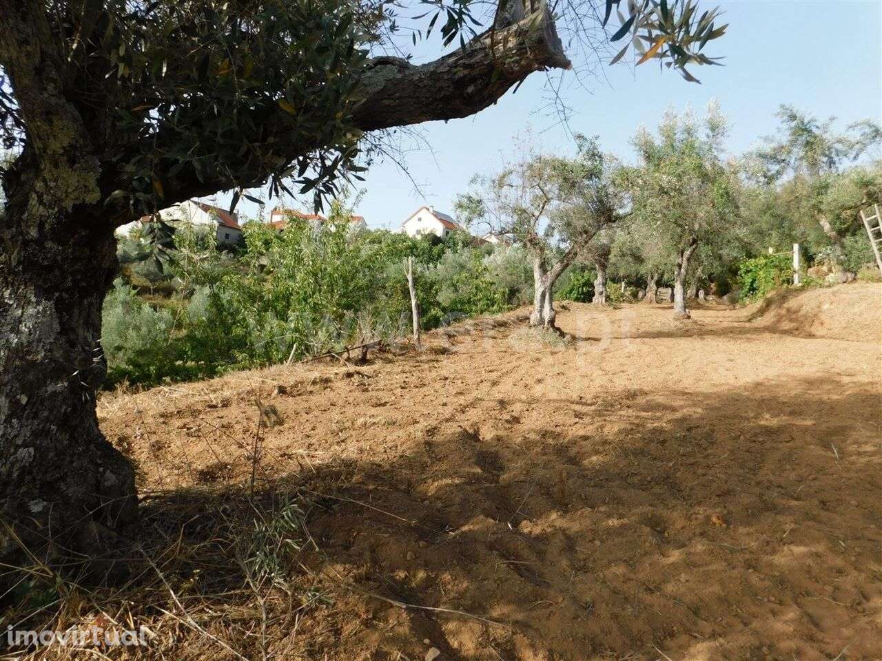 Quintinha / Fundão, Souto da Casa - Grande imagem: 3/20