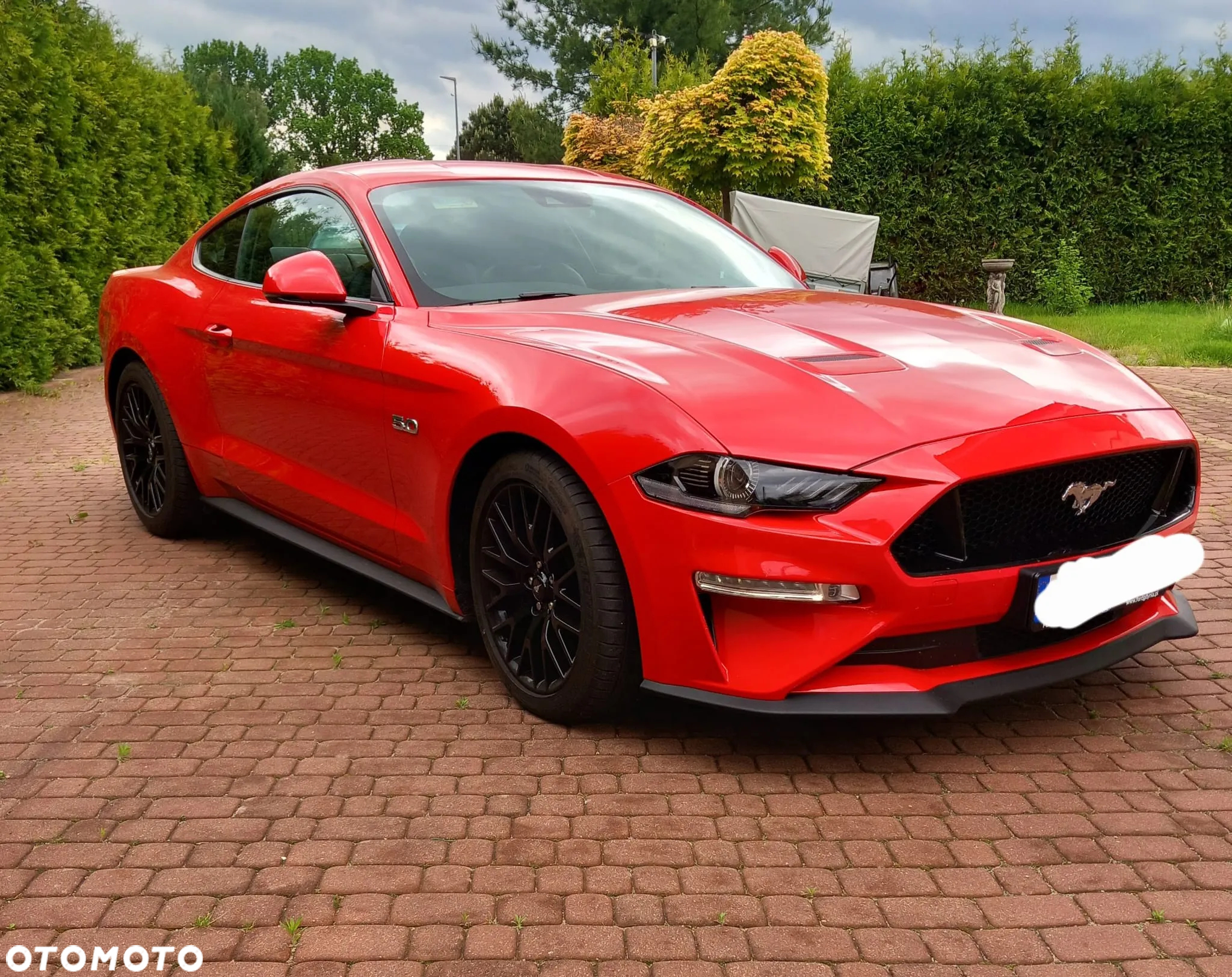 Ford Mustang 5.0 V8 GT - 3
