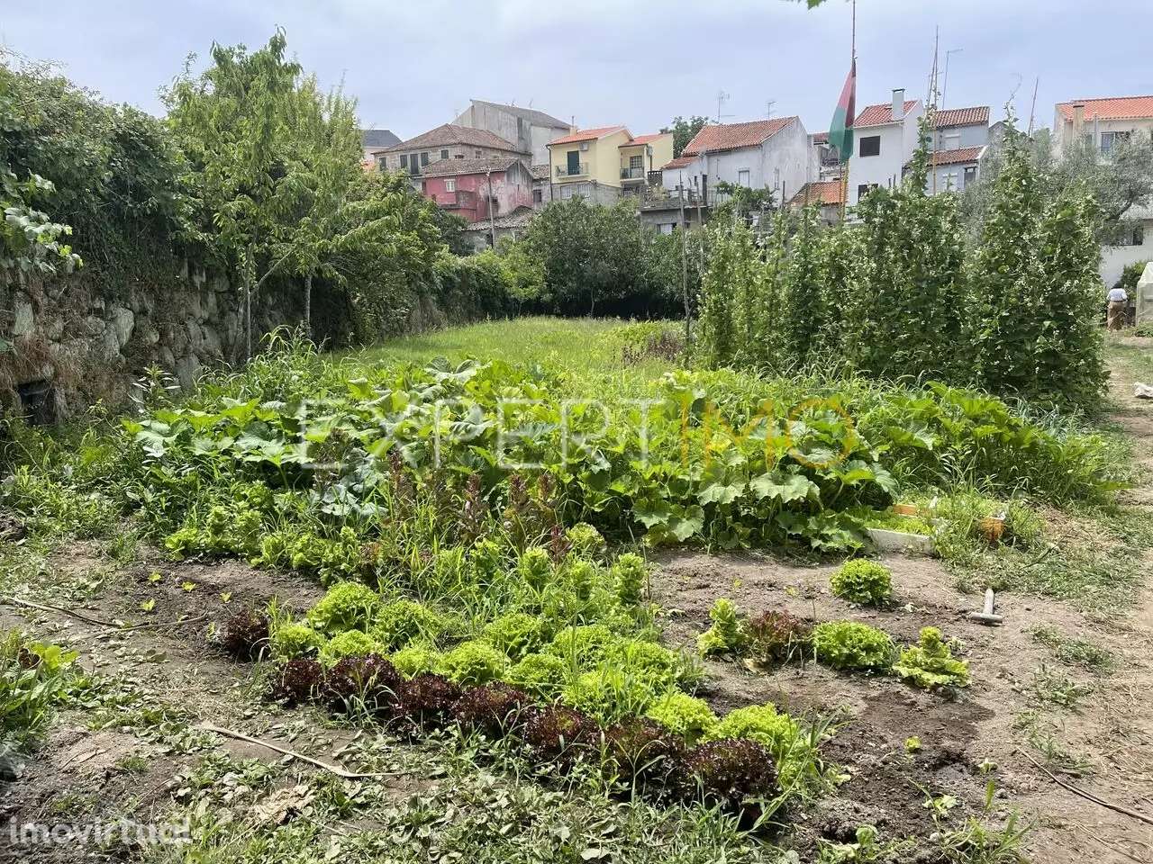 Moradia com terreno, situada em São Paio, muito próxima da cidade... - Grande imagem: 5/21