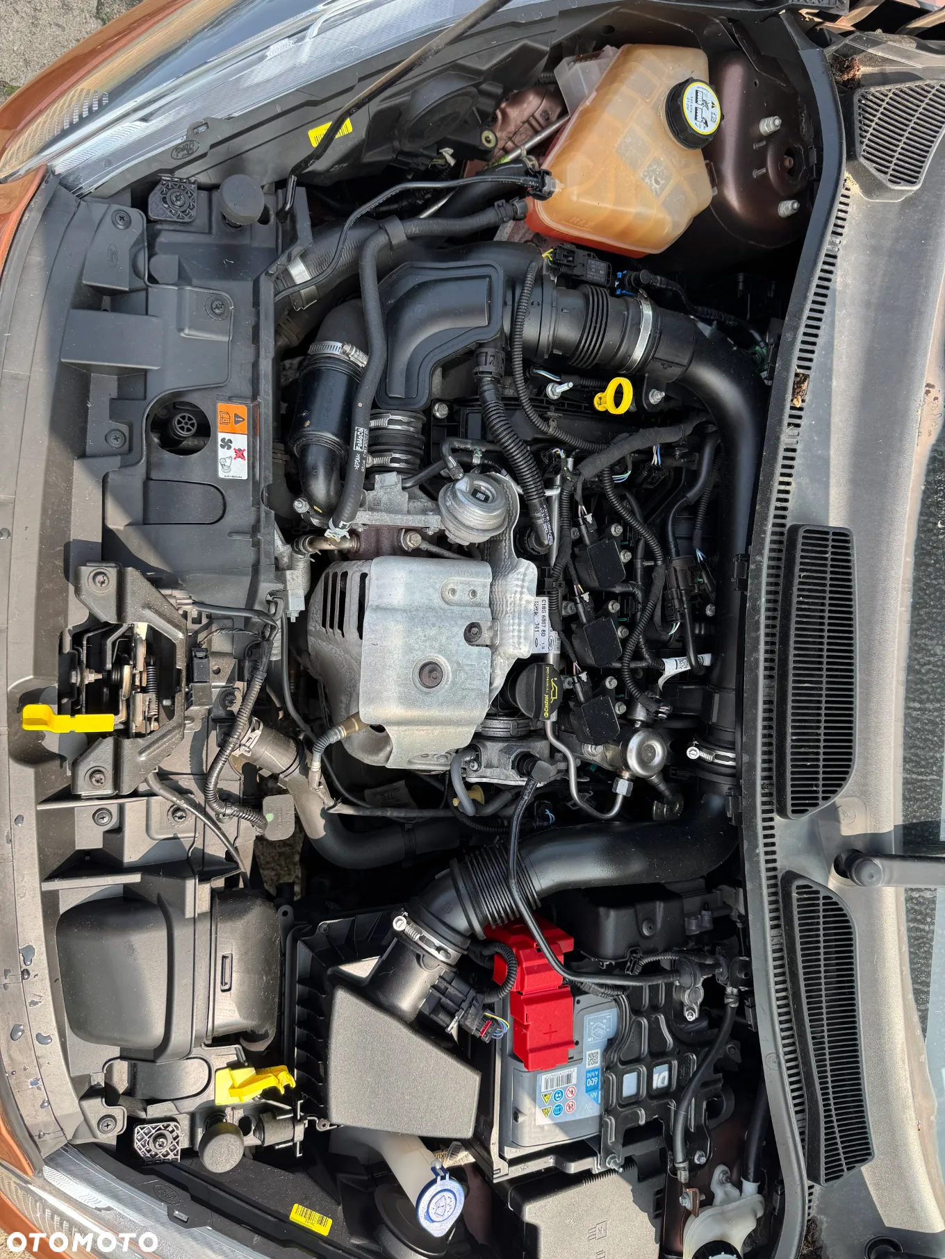 Ford Fiesta - 24