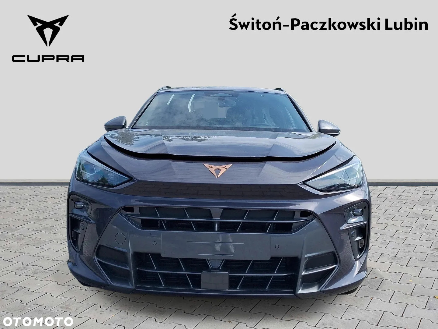 Cupra Terramar - 2