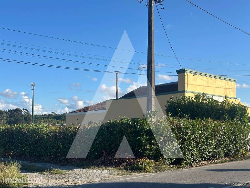 Terreno em Águas Boas - Grande imagem: 3/8