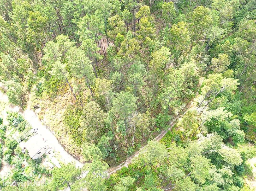 Terreno  para venda - Grande imagem: 2/5