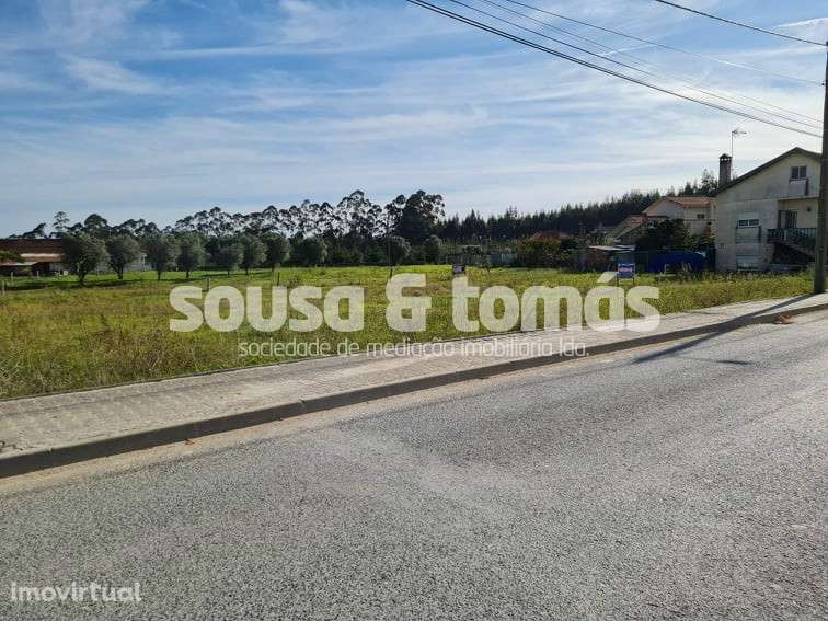 Terreno Rústico  Venda em Colmeias e Memória,Leiria - Grande imagem: 2/2