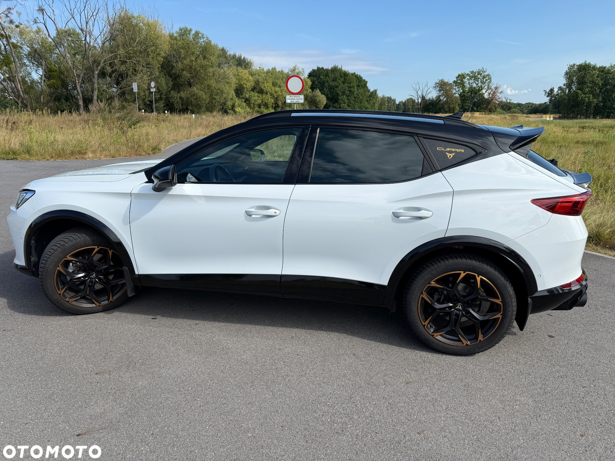 Cupra Formentor 1.5 TSI DSG - 8