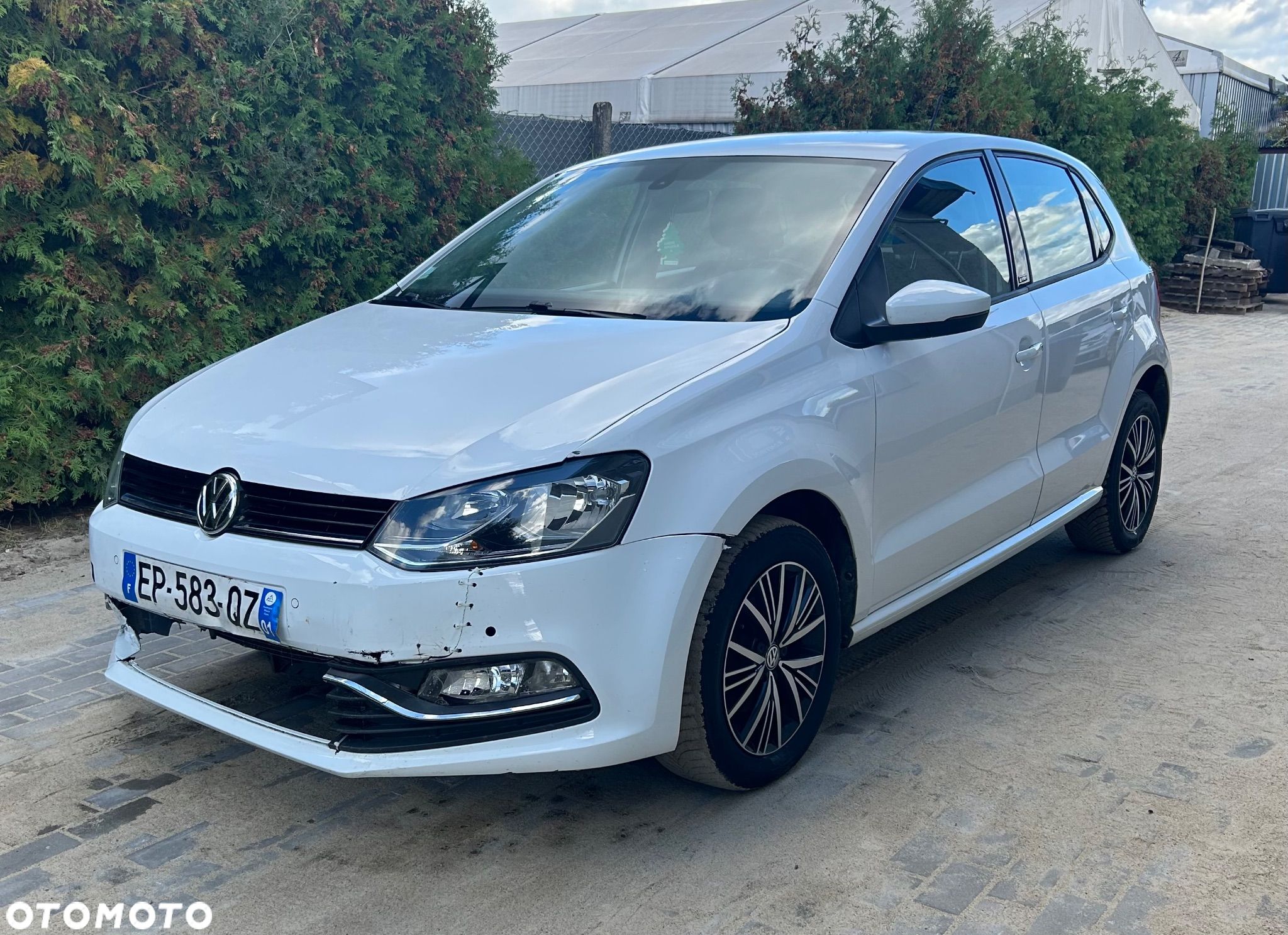 Volkswagen Polo - 1