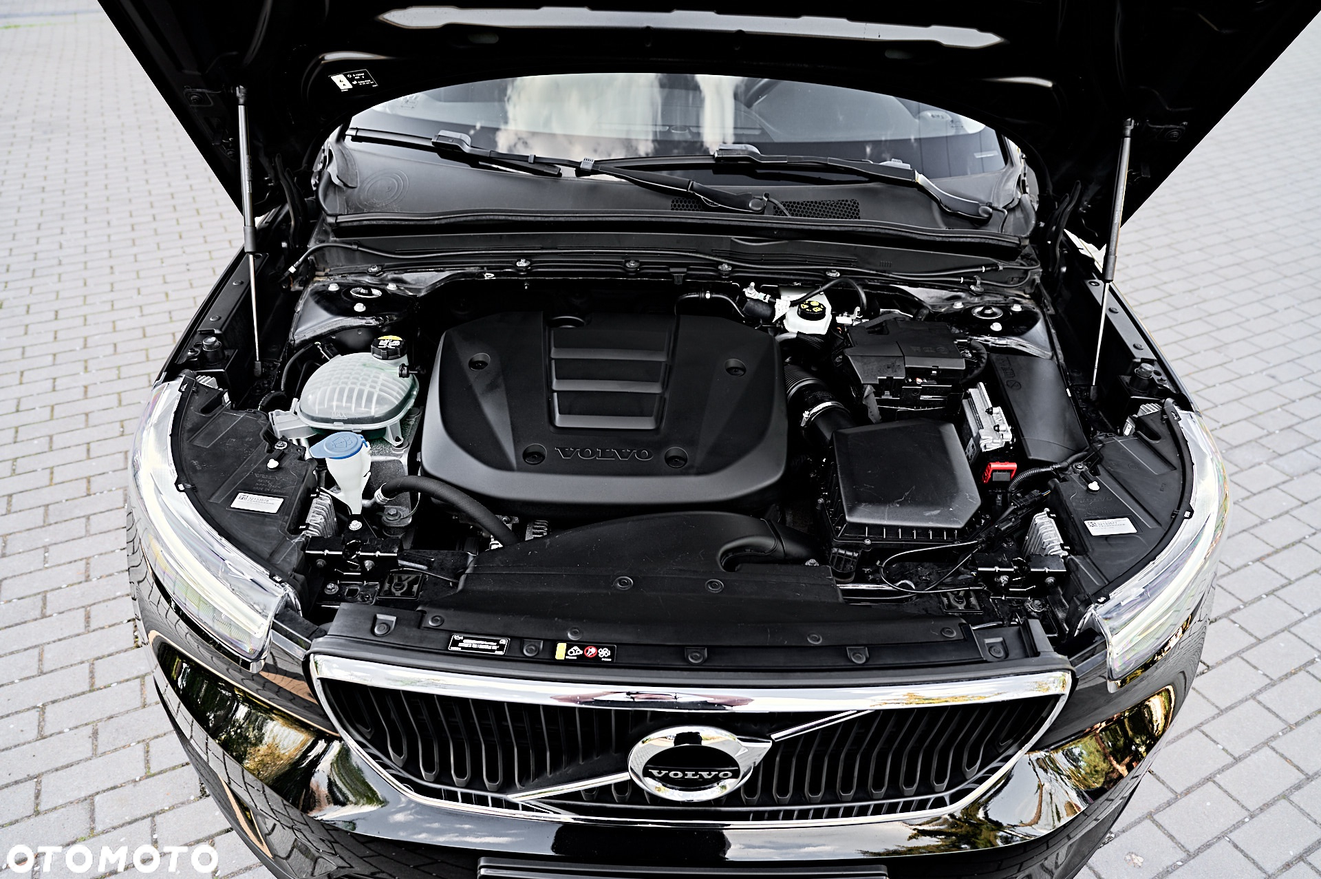 Volvo XC 40 T3 - 20