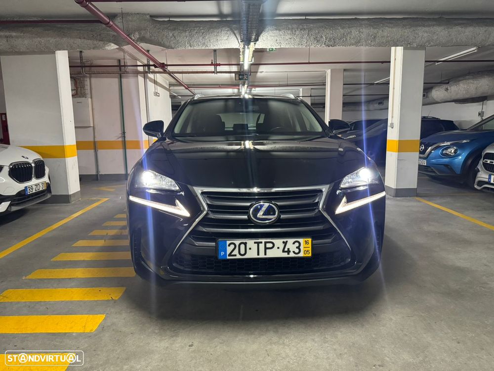 Lexus NX 300h - 2