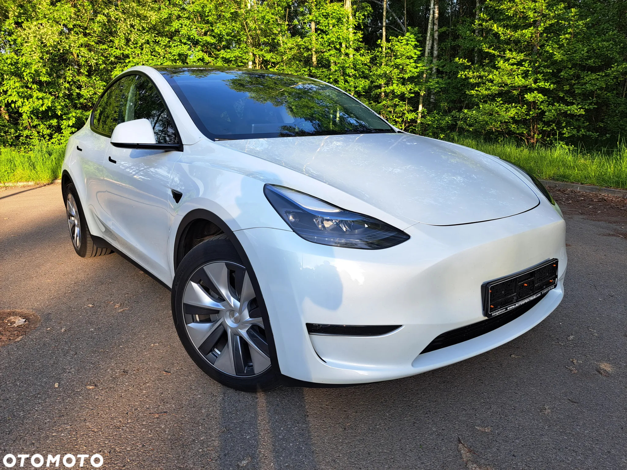 Tesla Y Model Long Range Dual Motor AWD - 3