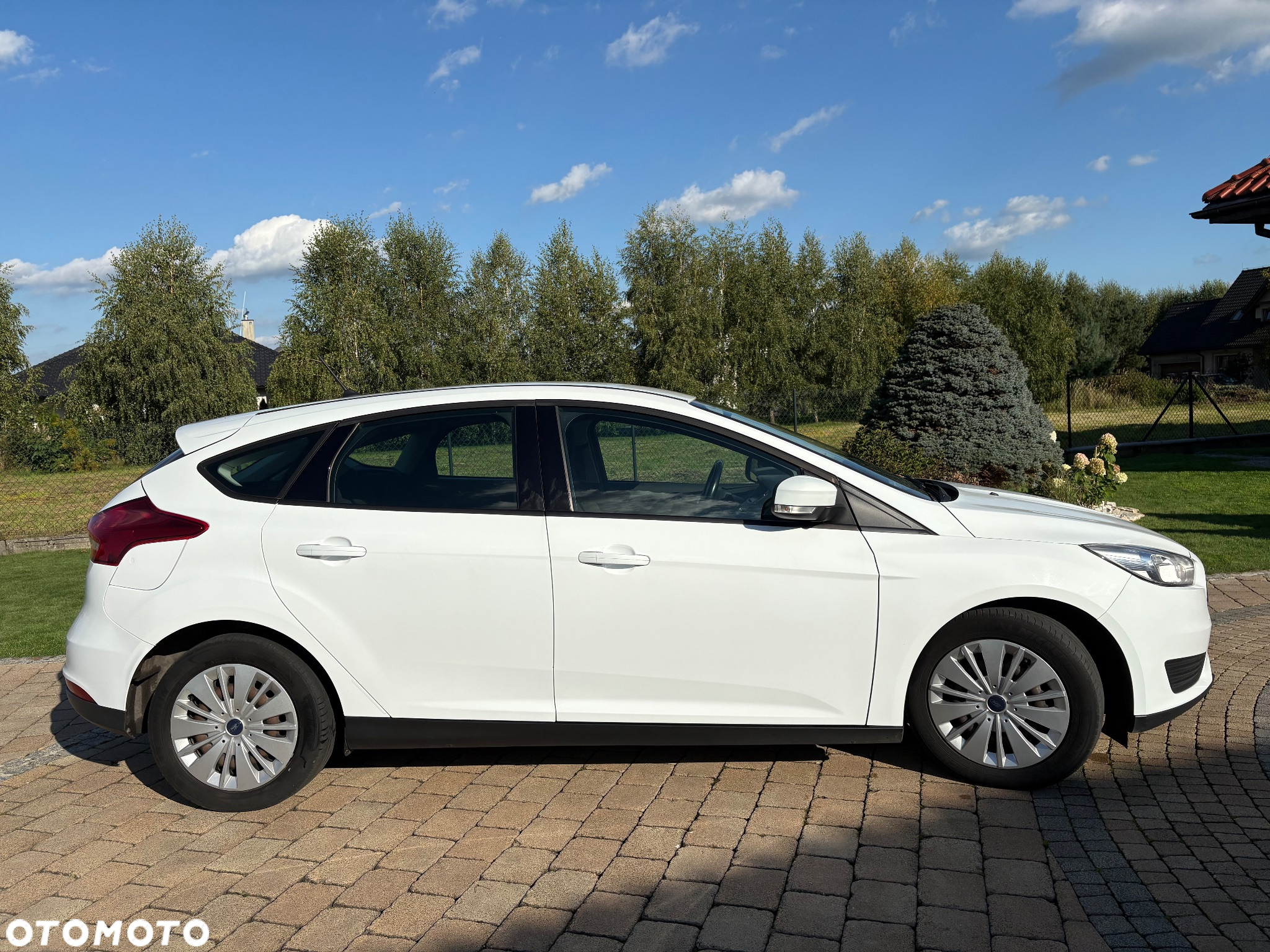 Ford Focus 1.5 EcoBlue Trend - 4