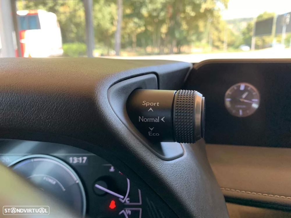 Lexus UX 250h Executive+ - 25