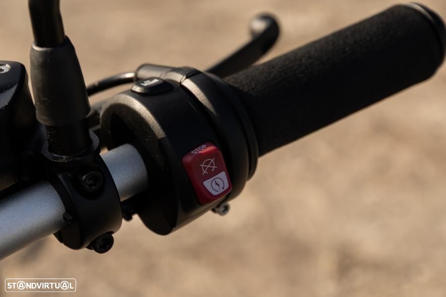 BMW R nineT Scrambler - 15