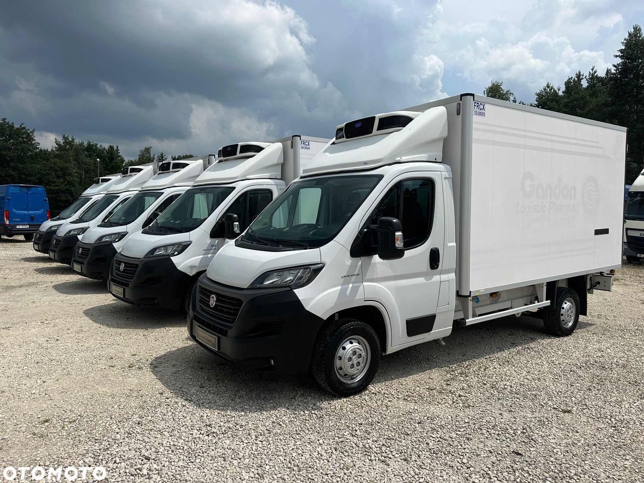 Fiat Ducato Mroźnia -25*C / Nowy Model / perfekcyjny stan - 1