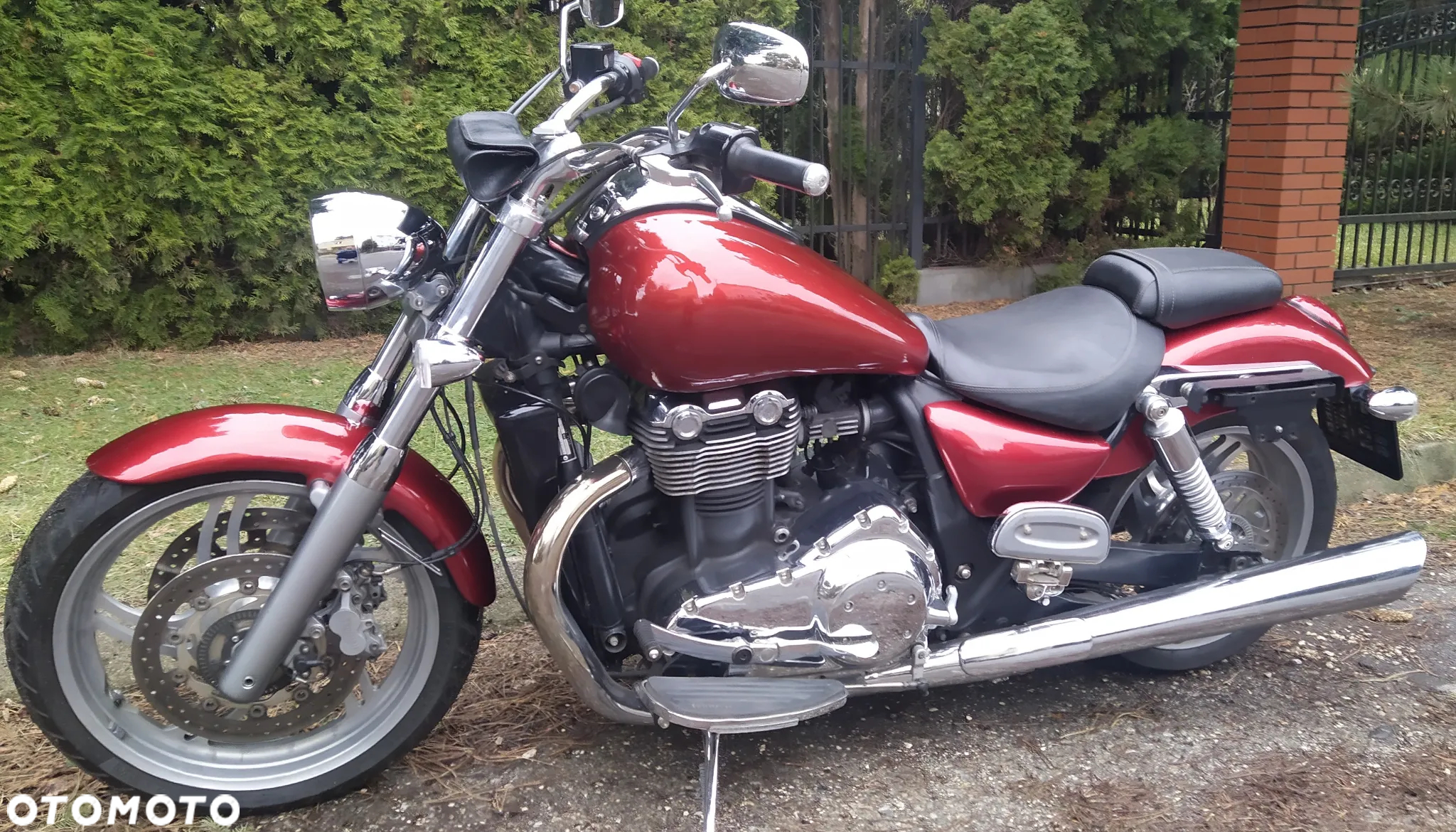 Triumph Thunderbird - 6