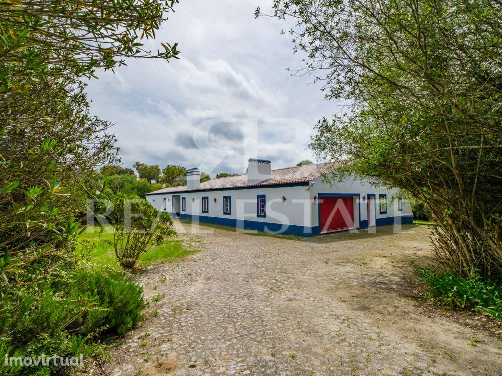 Propriedade no Alentejo | Montemor-o-Novo | A uma hora de Lisboa - Grande imagem: 4/31