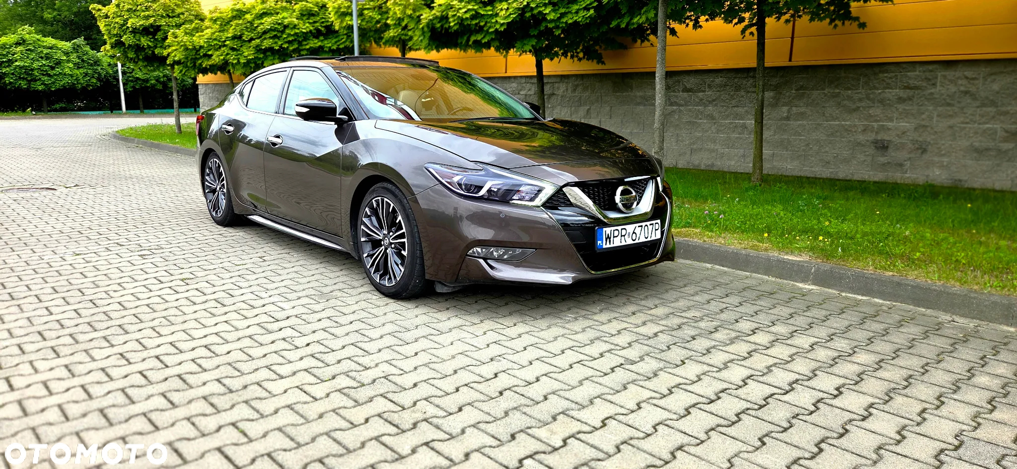 Nissan Maxima - 2