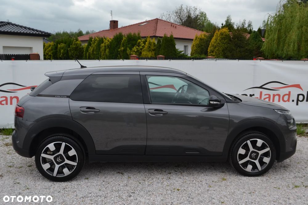Citroën C4 Cactus - 11