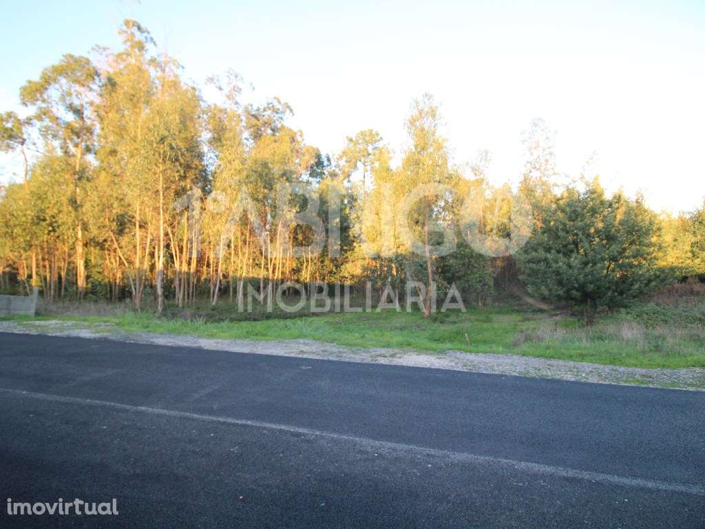 terreno para construção - Grande imagem: 5/7