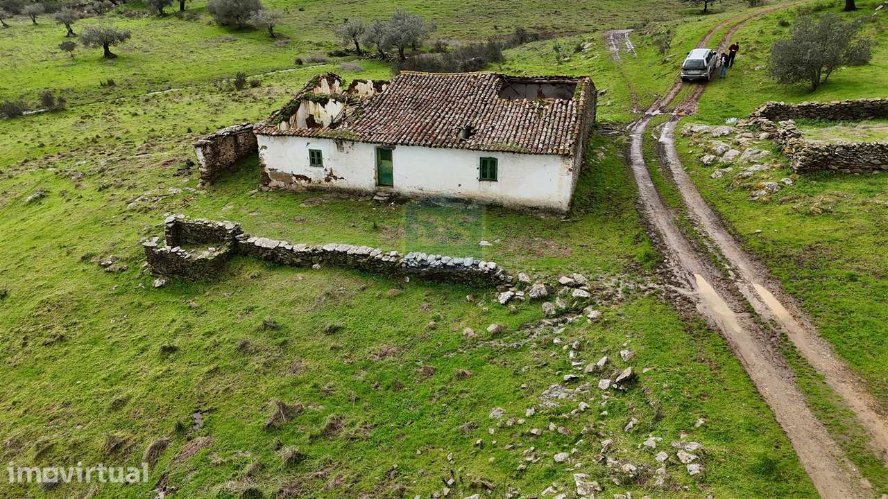 Terreno Misto T4 Venda em Ourique,Ourique - Grande imagem: 2/31