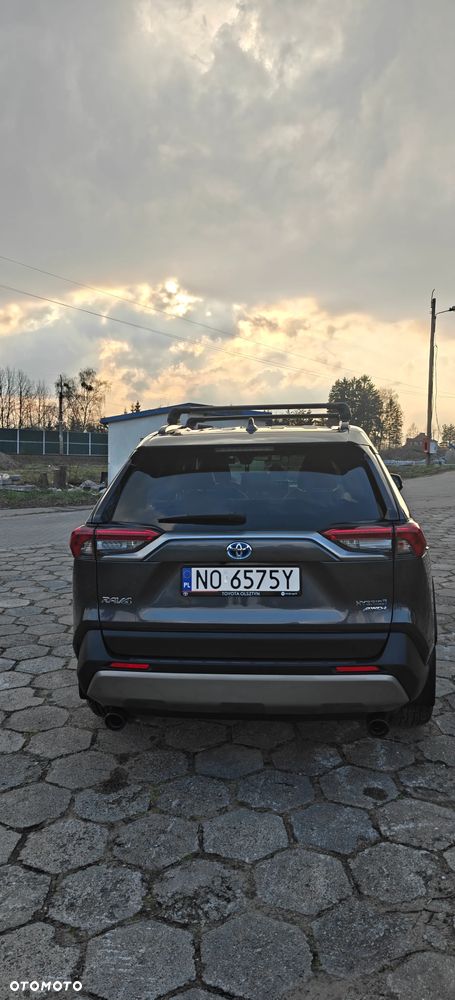 Toyota RAV4 2.5 Hybrid Executive 4x4 - 6
