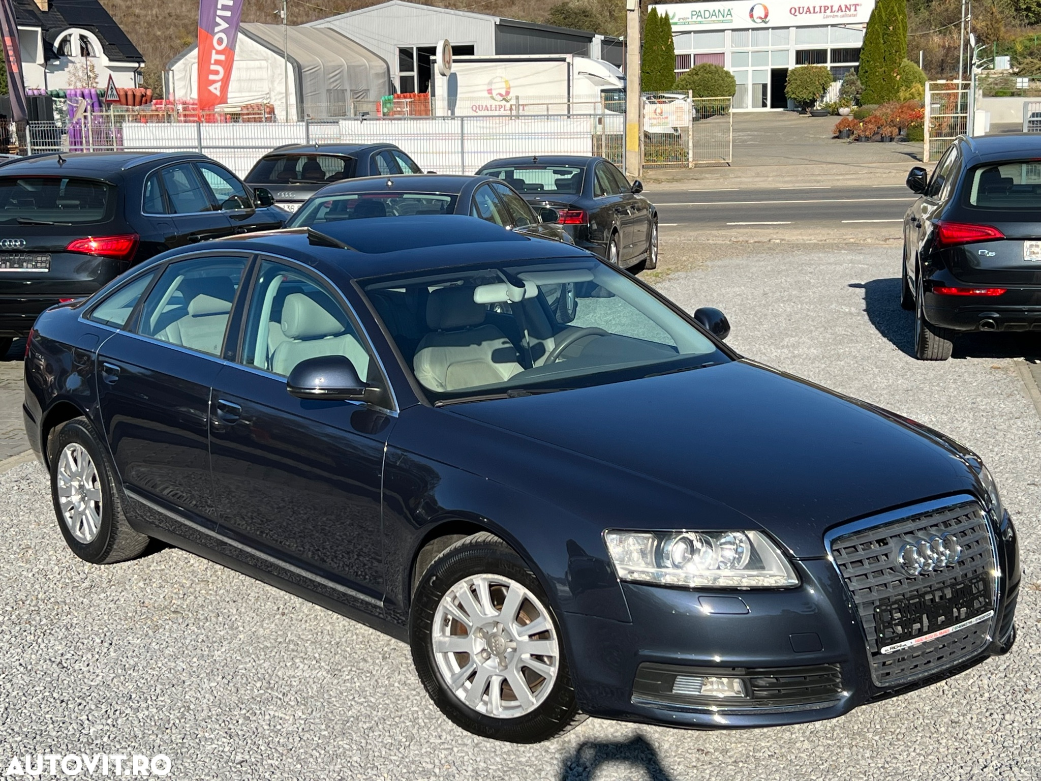 Audi A6 2.0 TDI DPF Multitronic - 20