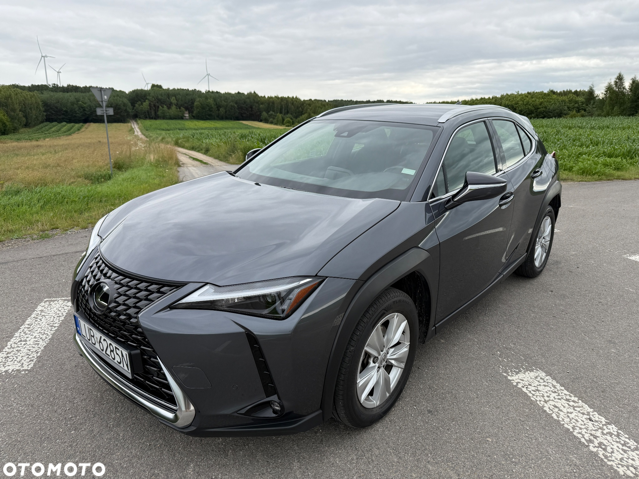 Lexus UX 250h GPF Business 2WD - 2
