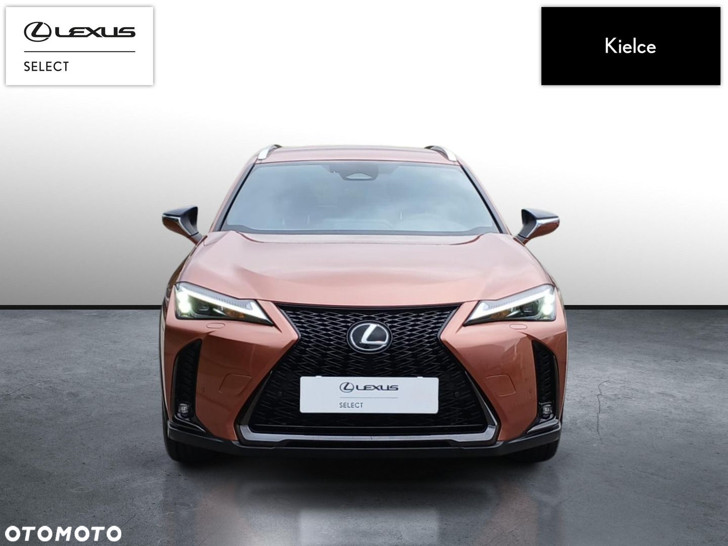 Lexus UX 300h F Sport Design - 8