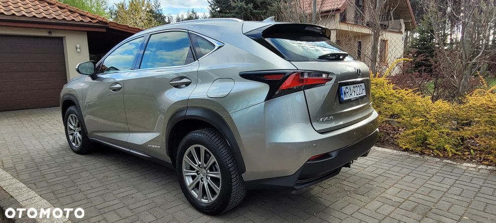 Lexus NX 300h Elite AWD - 6