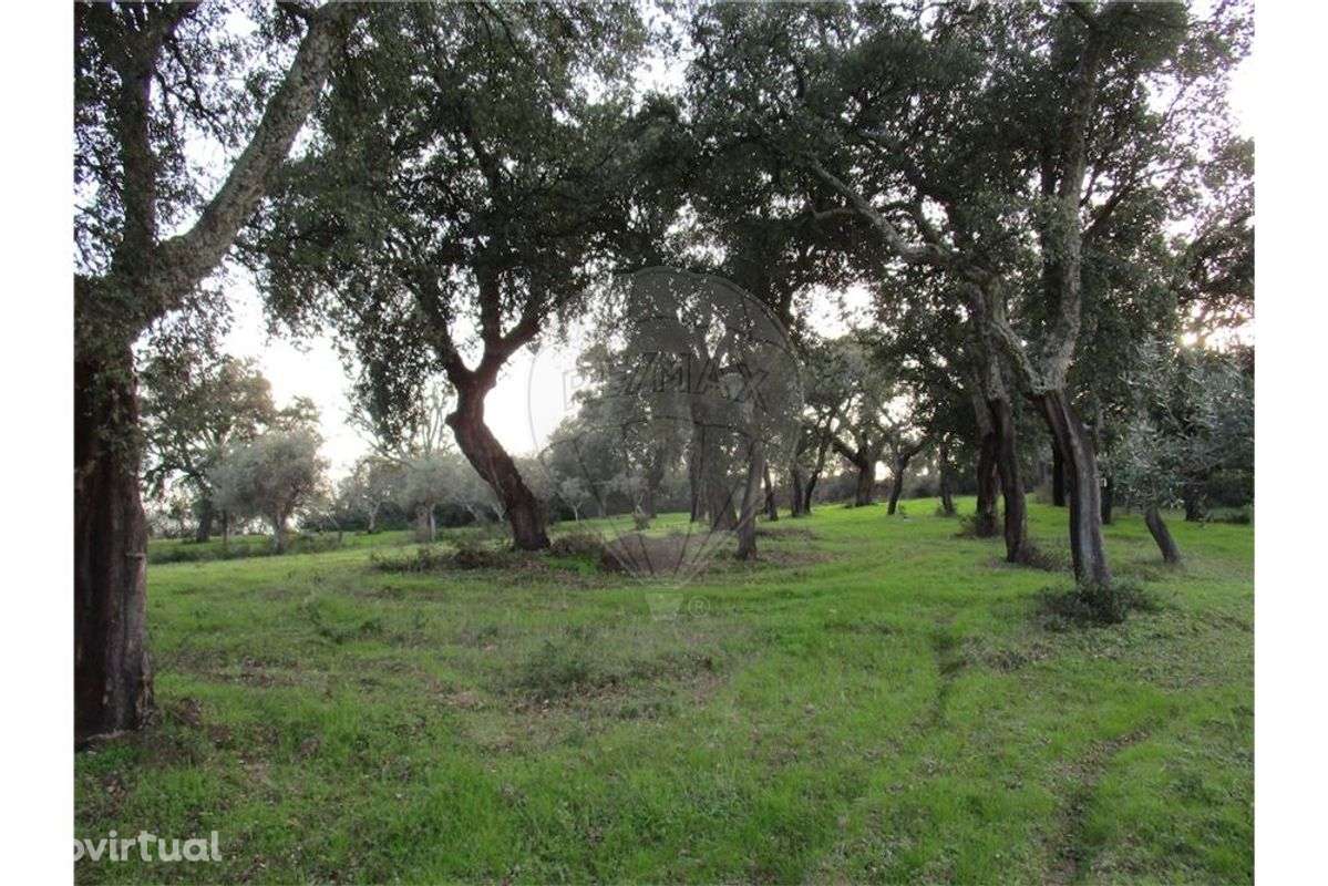 Quinta T0 para venda - Grande imagem: 3/25