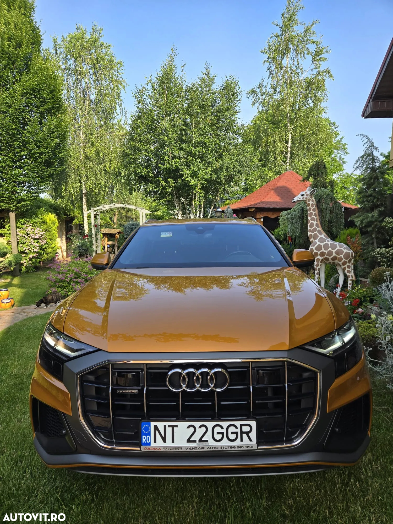 Audi Q8 - 2