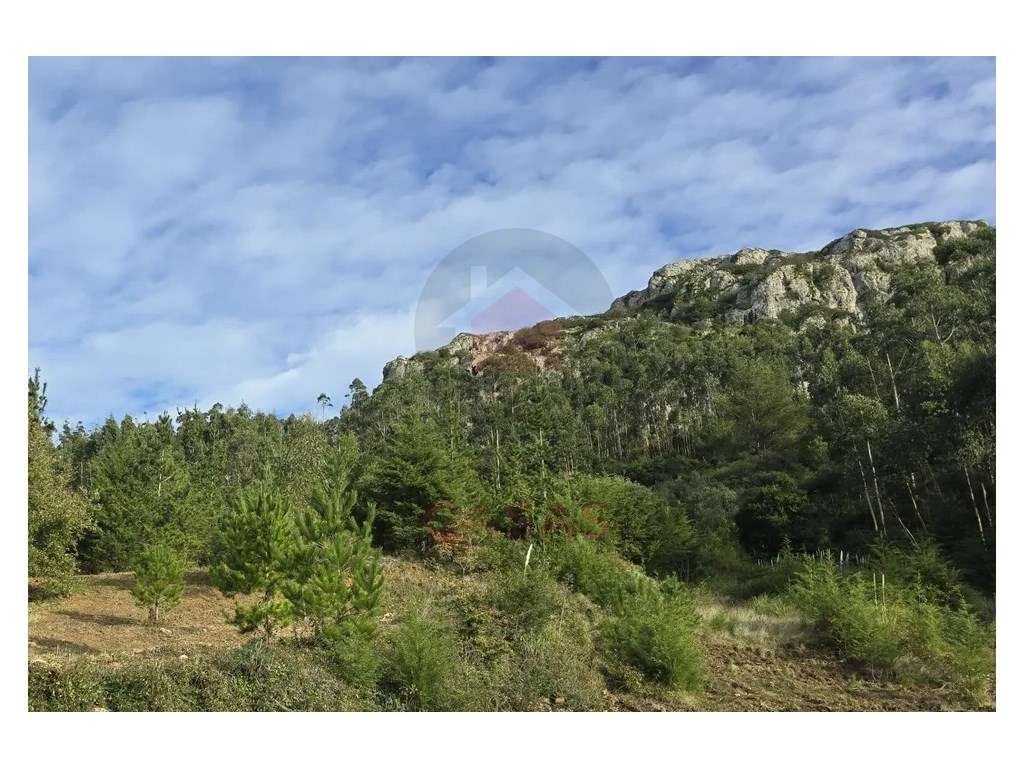 Terreno 7.143 m² em Pragança, Cadaval - Grande imagem: 3/14