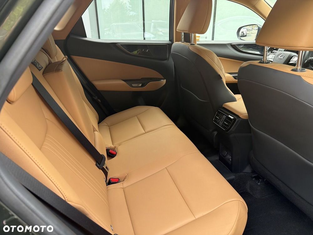 Lexus NX - 19