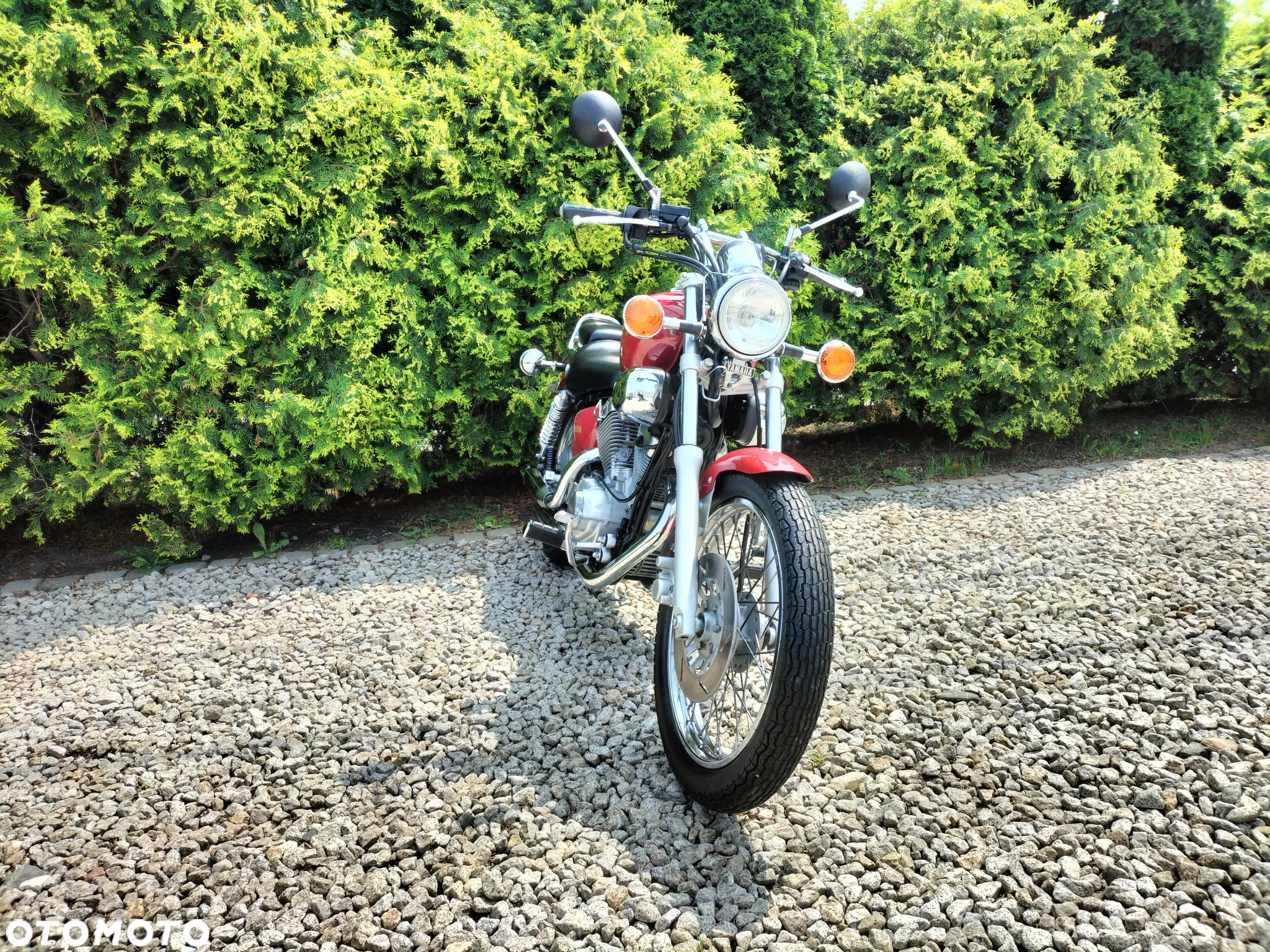 Yamaha Virago - 4