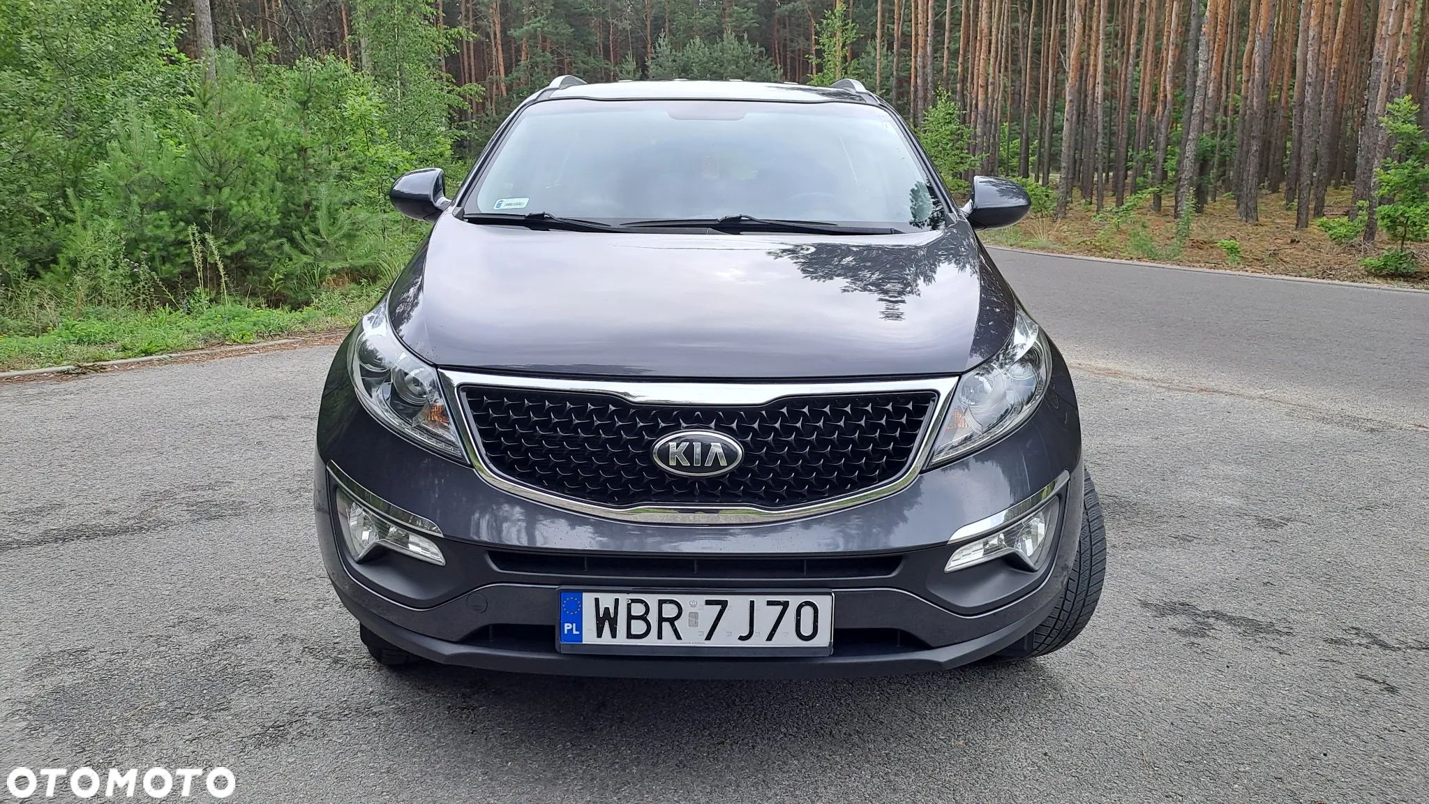 Kia Sportage - 1