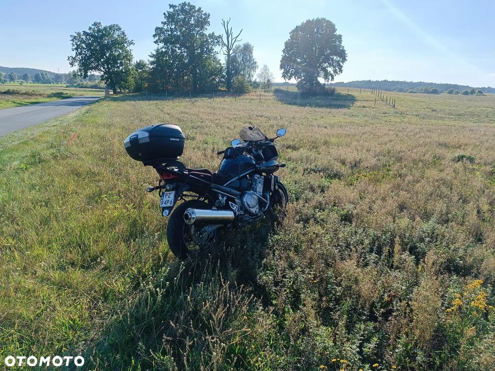 Suzuki Bandit - 12