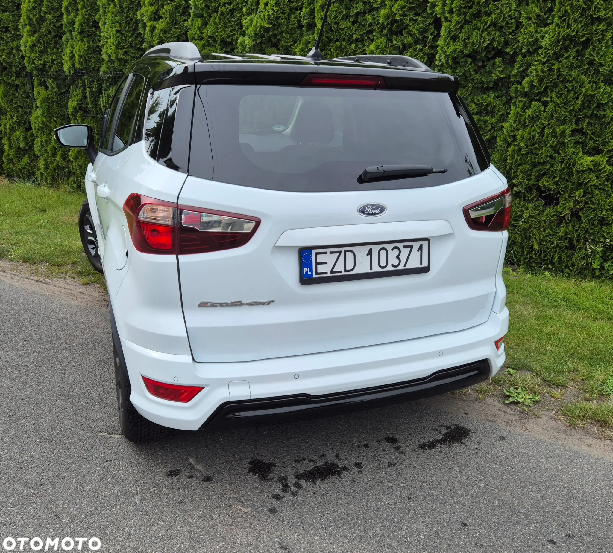 Ford Fiesta - 29