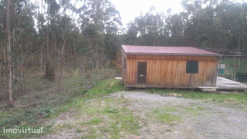 Vendo uma  terreno com uma casa com rodas - Grande imagem: 2/12