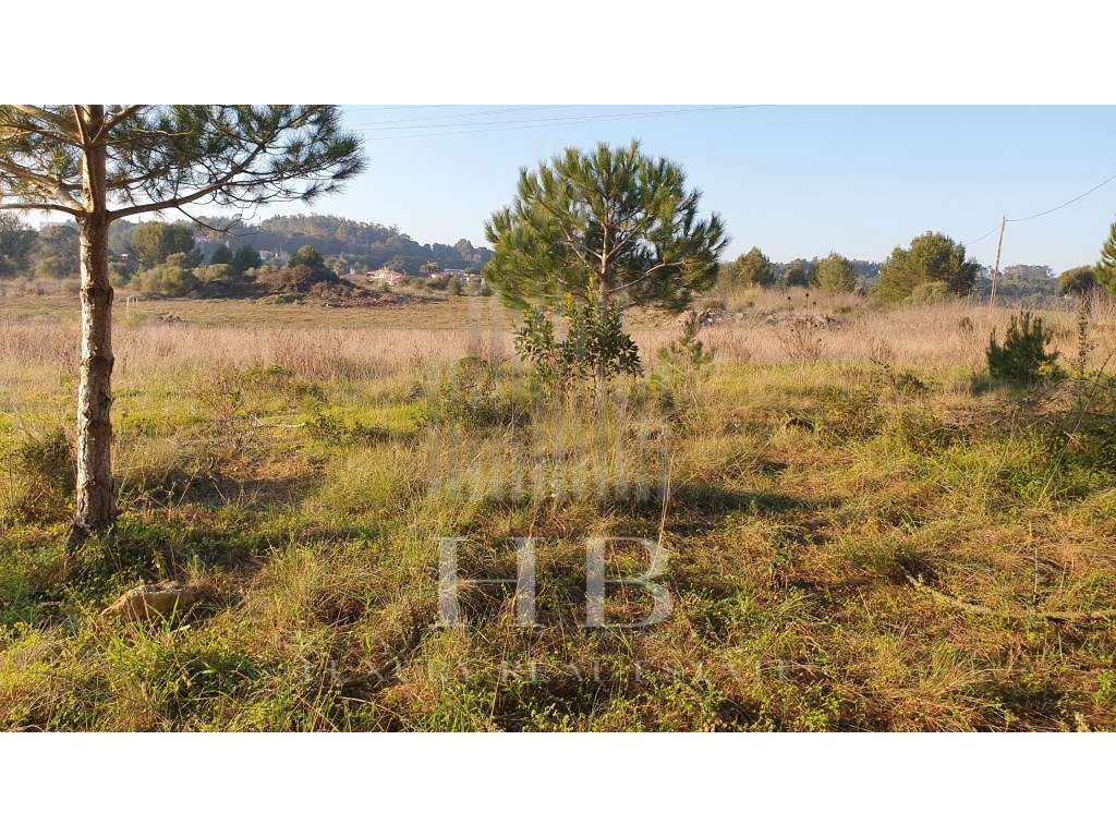 Lote Construção 5002M2| Casal da Granja |Sintra - Grande imagem: 5/45