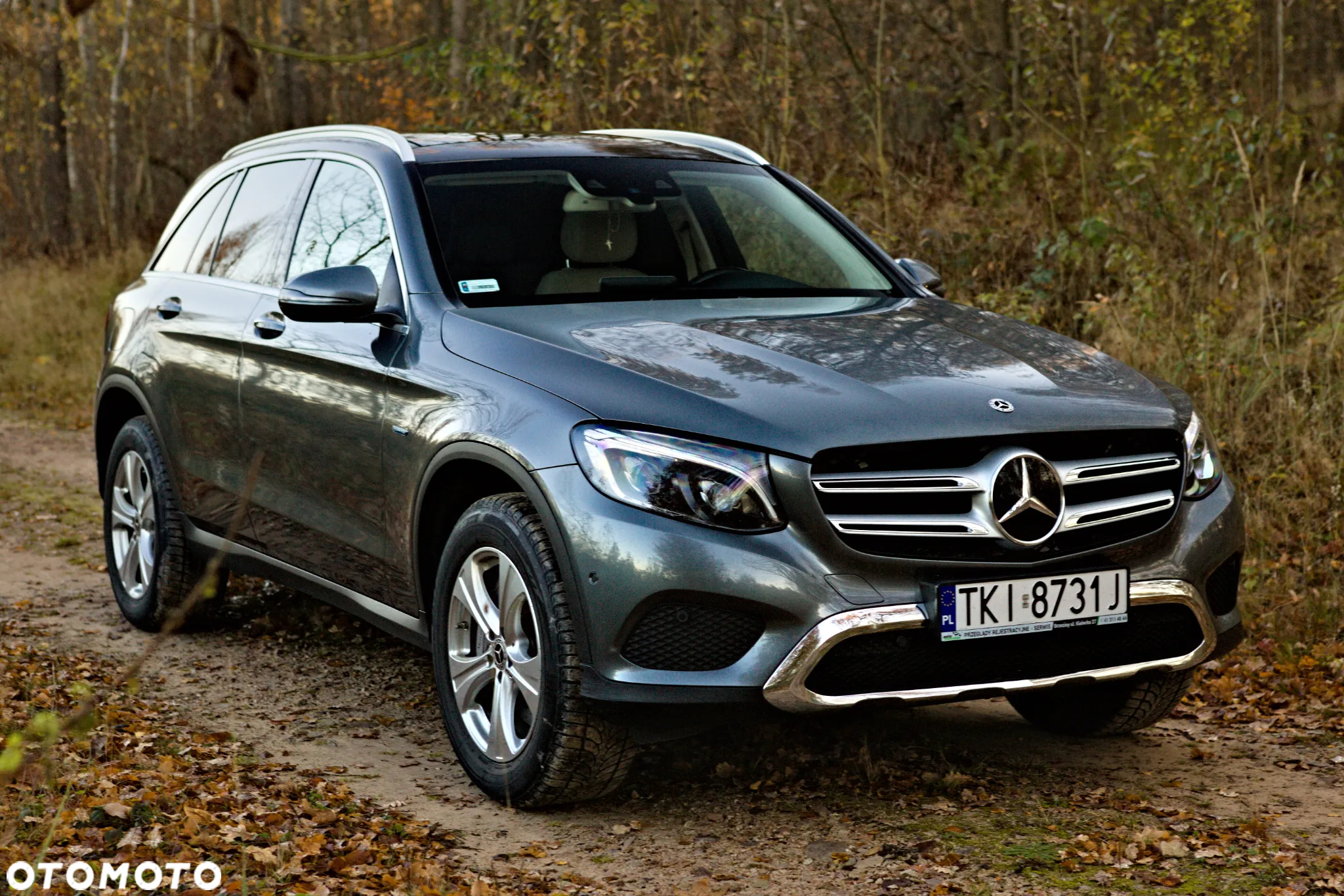 Mercedes-Benz GLC 350 e 4Matic 7G-TRONIC - 10